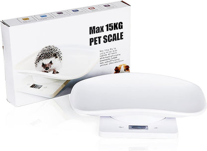 DWSFADA high precision animal scale in use with a small reptile showing the active gram measurement display.