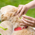 Portable pet grooming tool set in carrying packaging