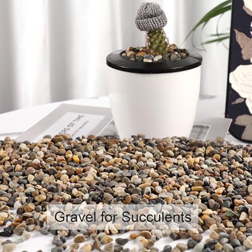 Natural sand used as a decorative base for home decor