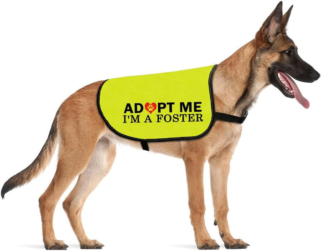 CENWA Adopt Me foster dog jacket vest front view
