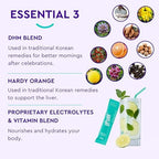 Upside party recovery supplement sticks ingredient highlights