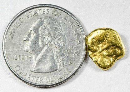 Genuine Alaskan BC placer gold nugget close-up texture