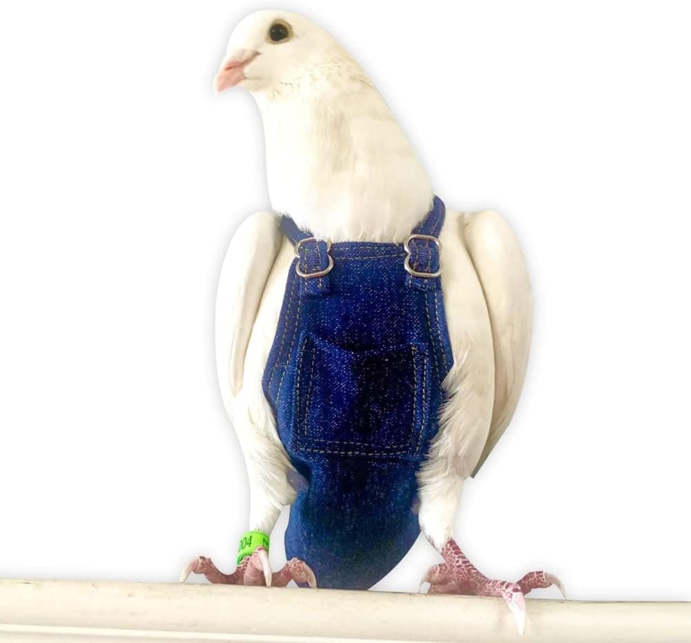 Bev's Bird Boutique Regular Flyper Adjustable Bird Diaper | Reusable, Washable Cloth | Comfort Fit for Parrot, Cockatiels, & Other Small Birds | Fashionable Avian Accessories, Dungaree Jeans, Size 7 - Image 14