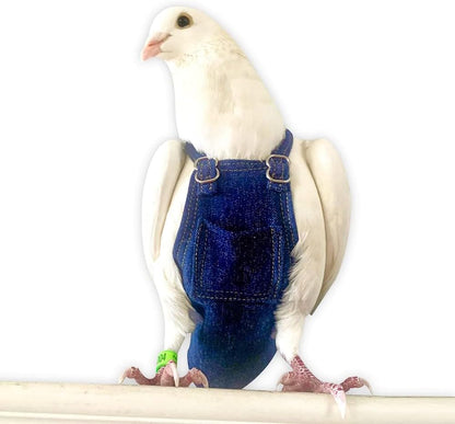 Bev's Bird Boutique Regular Flyper Adjustable Bird Diaper | Reusable, Washable Cloth | Comfort Fit for Parrot, Cockatiels, & Other Small Birds | Fashionable Avian Accessories, Dungaree Jeans, Size 7 - Image 14