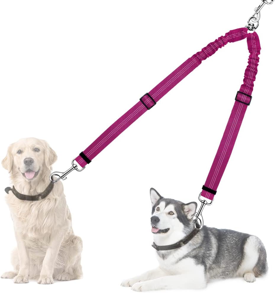 Heavy duty tangle free double pet lead attachment for outdoor training