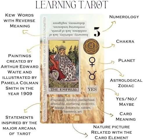 Detailed view of Witchy Cauldron tarot card showing keywords