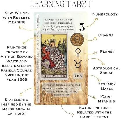 Detailed view of Witchy Cauldron tarot card showing keywords