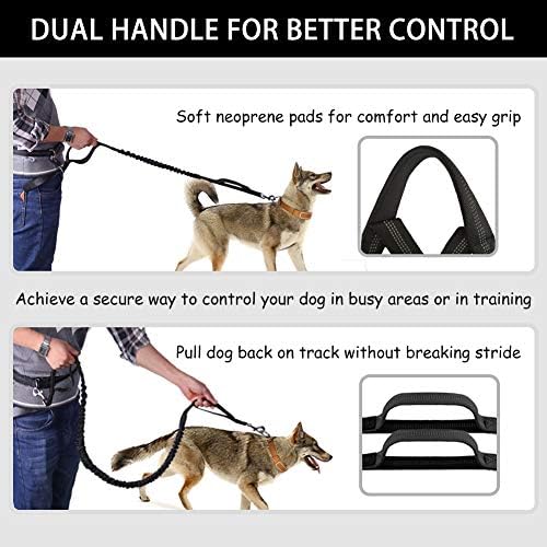 LANNEY shock absorbing bungee leash attached to medium size dog harness