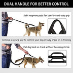 LANNEY shock absorbing bungee leash attached to medium size dog harness