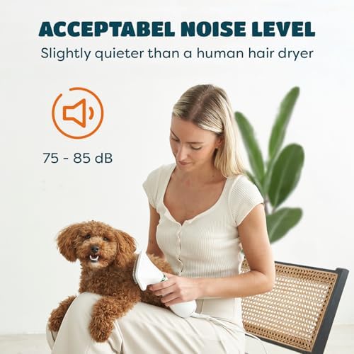 Small dog being groomed with Kuubia 2-in-1 hair dryer