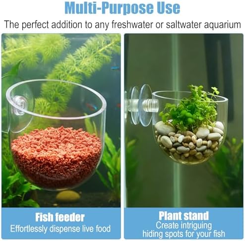 Eldraqth shatterproof transparent fish tank plant pot side view highlighting water circulation slits