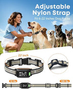 Delupet anti barking collar dual function smart chip illustration demonstrating noise filtration