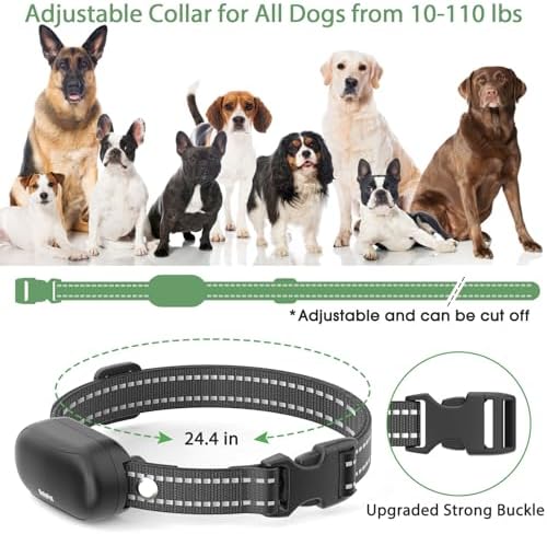 Delupet dog collar showing charging port and interface