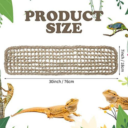 Reptile climbing lounger attached to glass terrarium wall