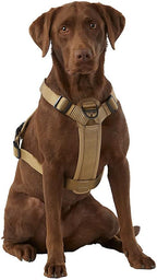 Kong dog harness showing built-in waste bag dispenser feature