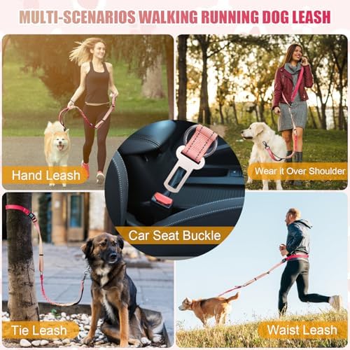 Jetog dog leash padded handle and clasp design