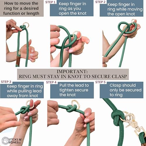 Sticks N Bones Co leash showing the dual handle control feature