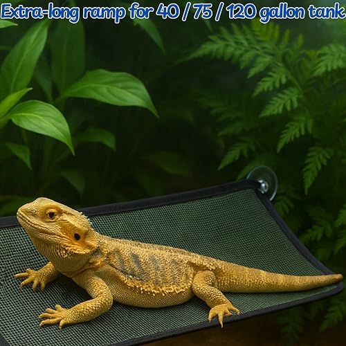 Multi-level jungle gym setup created using stacked reptile loungers