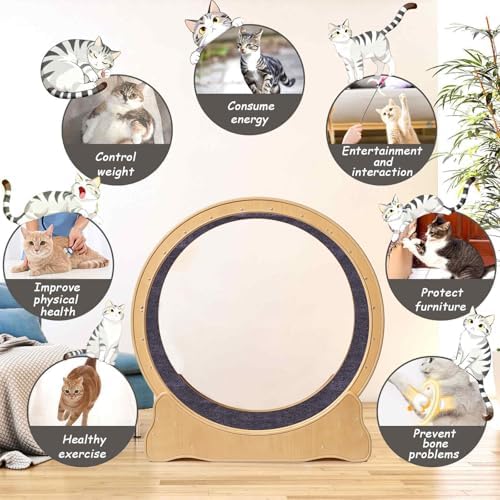 ZooVibe thirty five point four inch cat treadmill with low noise silent wheels