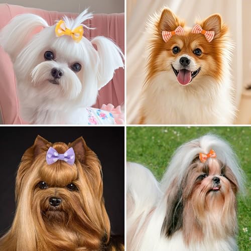 Handmade grosgrain ribbon bows for puppy styling