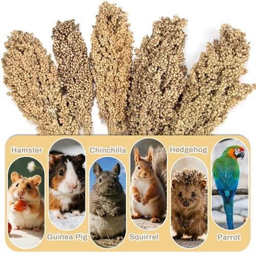 Sukh Natural Hamster Sprays - 5pcs Natural Sun-Dried Red Sorghum Grain,Flower & Herb Grain Stalks for Cage Habitat Bedding Decor for Dwarf Syrian Hamsters,Gerbils,Mice,Cockatiels - Image 7