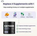 Back label of Kayode Ultimate Digestion for dogs