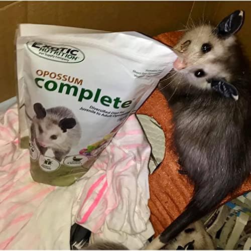 Full lifestyle shot of the authentic USA imported Exotic Nutrition complete daily diet for Virginia opossums.