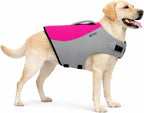 Dog Life Jacket, Sport Style Dog Float Coat with Excellent Buoyancy, Stylish Dog Swimming Safety Vest with Rescue Handle for Small Medium Large Dogs Orange-Red XL - Image 14