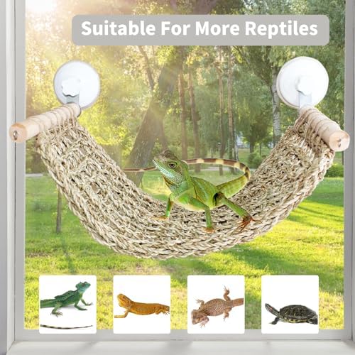 Foldable reptile hammock for window mounting