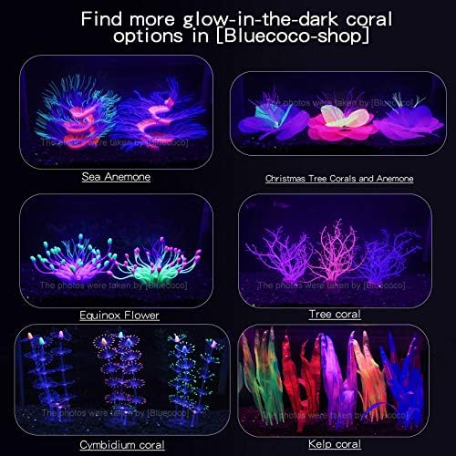 Bluecoco aquarium decoration displayed in packaging