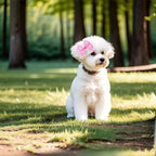 Close up of high quality ribbon dog hair bow