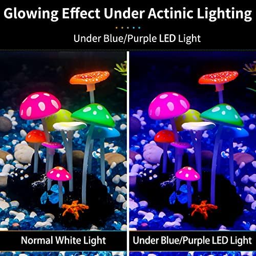 Uniclife aquarium decoration showcasing the sturdy black resin base and suction cup mechanism for secure underwater mounting.