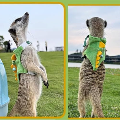 Small animal harness set with leash laid out on flat surface