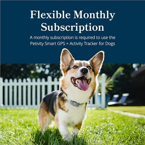 Petivity dog tracker mobile application interface displaying real time location mapping