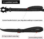 Icefang 6ft bungee leash for large dogs