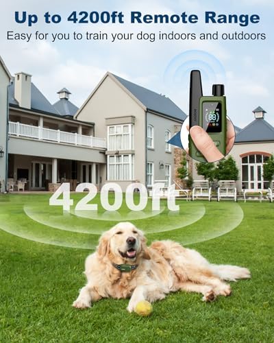 Jugbow dog shock collar remote control interface