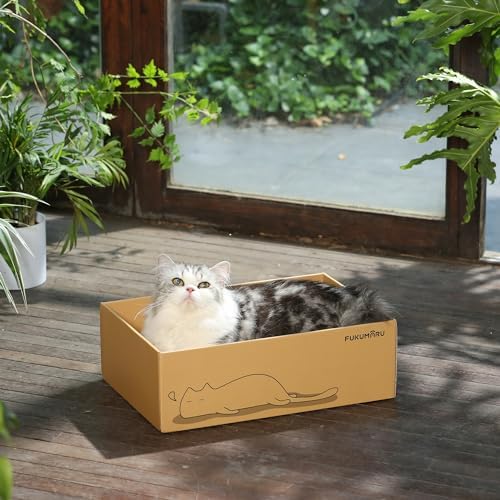 Complete Fukumaru 5 piece cat scratcher kit with outer container