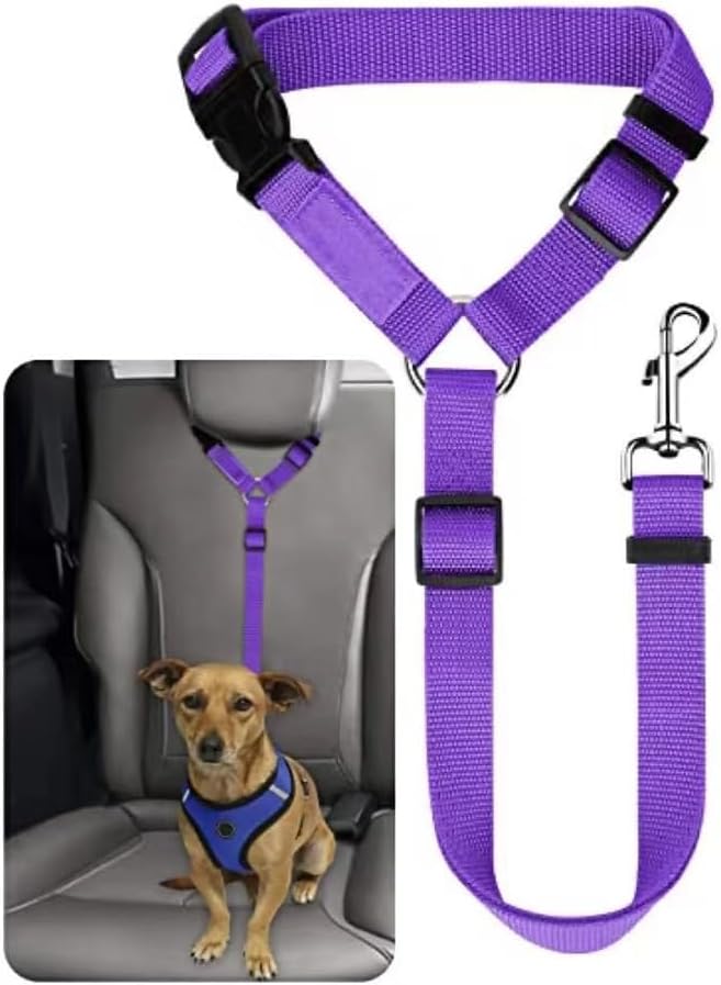 Brikipth pet travel safety lead hooked to harness
