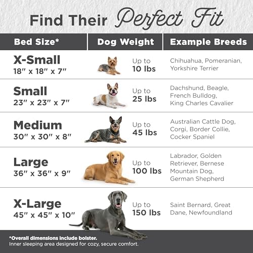 Best Friends by Sheri The Original Calming Donut Dog Bed for Medium Dogs up to 45 lbs, Lux Faux Fur, Oyster, Medium, 30" x 30" - Image 3