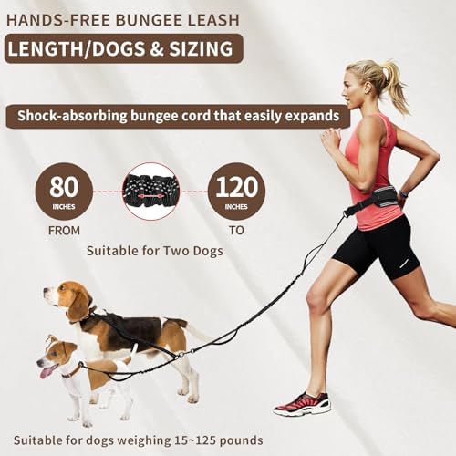 Shock absorbing elastic bungee section of the black hands free dual pet training leash.