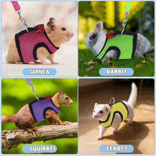 Packaging view of YiePhiot authentic imported small pet harness two count
