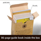 Da Brigh tarot deck illustrated guidebook and card layout