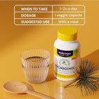 Close up of Healthy Origins Pycnogenol dietary supplement bottle cap and seal