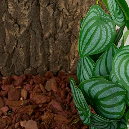 Silvery green striped leaves of the WOLEDOE artificial terrarium plant decoration