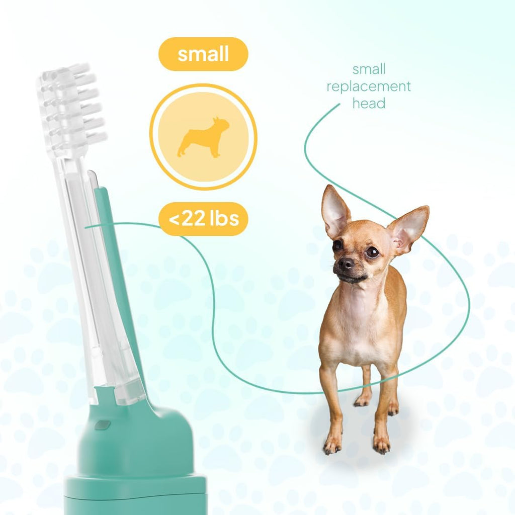 Detailed view of Petsie electric toothbrush bristles