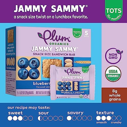 Premium imported healthy children fruit snacks from United States side view illustration