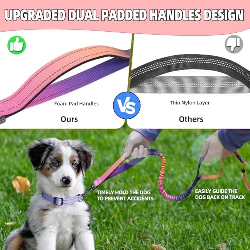 Detachable zipper pouch holding smartphone and dog treats during walks.