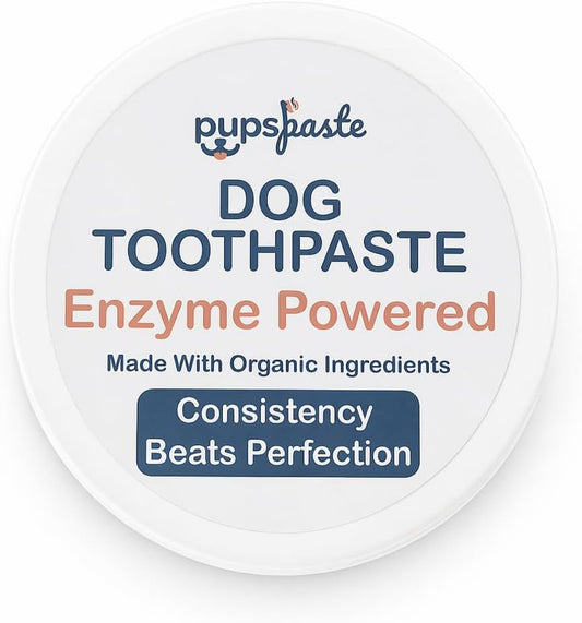 PupsPaste pet dental care paste showing smooth pumpkin texture close up