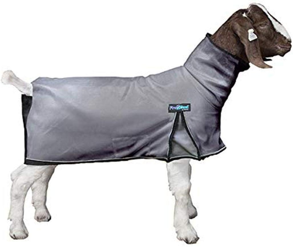 Weaver Leather Livestock ProCool goat blanket extra large gray front view