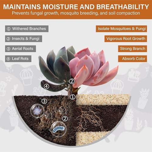 Nupick sand in a clear glass vase for home decor